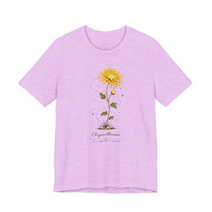Chrysanthemum