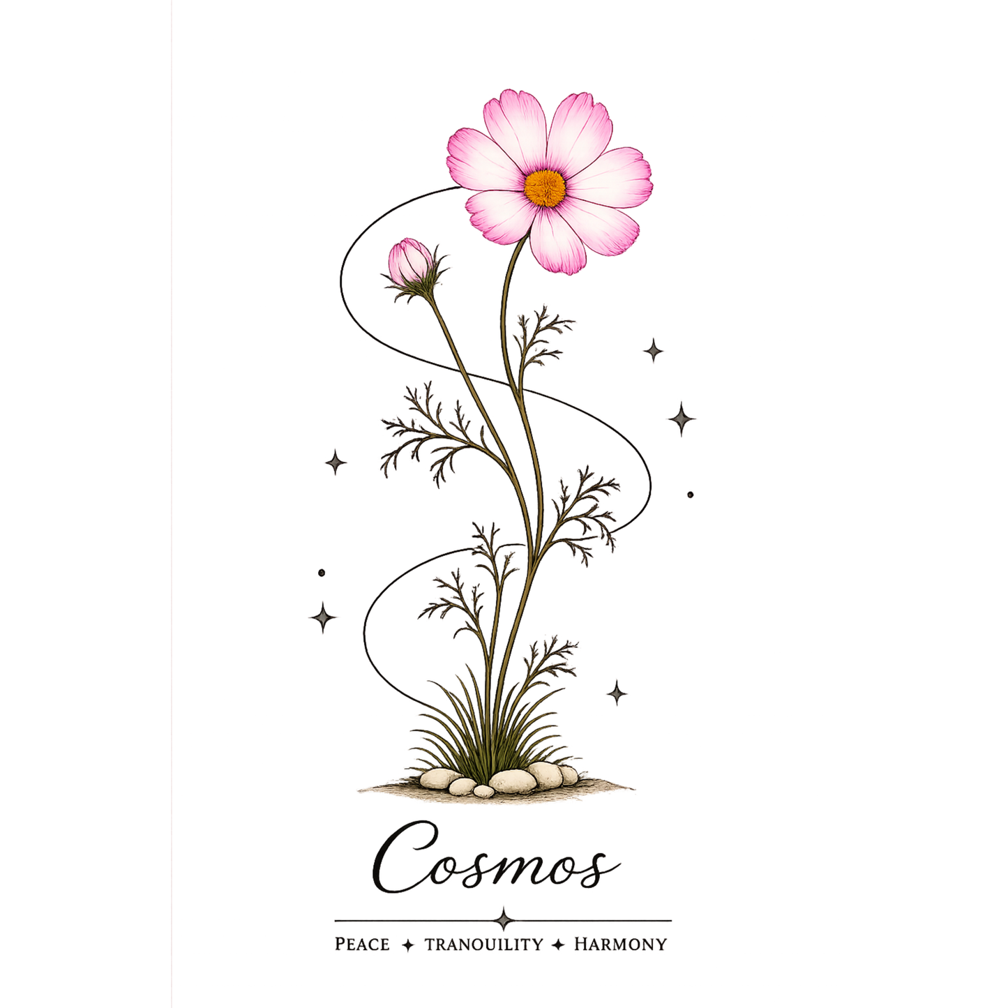 Cosmos