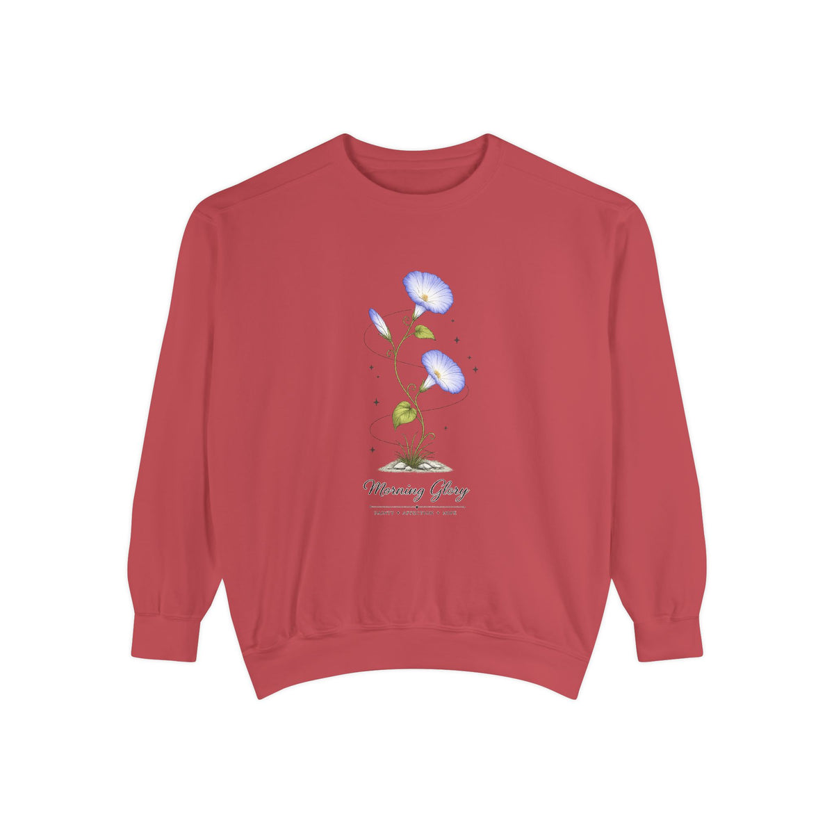 Morning Glory Sweatshirt